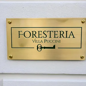Foresteria Puccini Casa Per Ferie Bed & Breakfast Torre del Lago Puccini